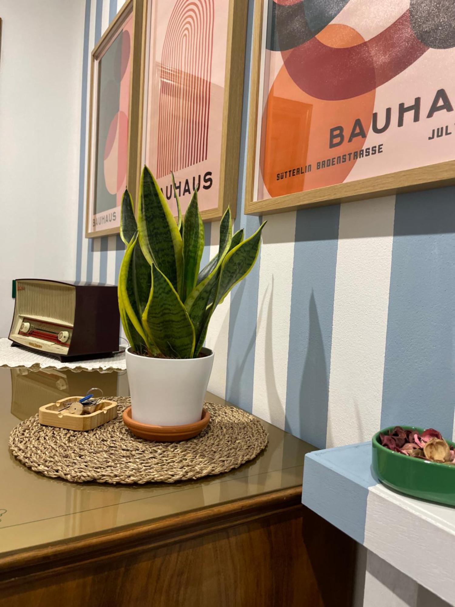 Apartament Momi Chiappa  Zewnętrze zdjęcie